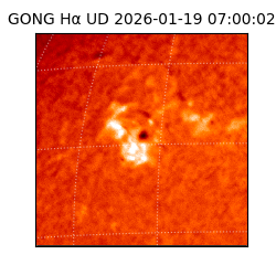 gong - 2026-01-19T07:00:02