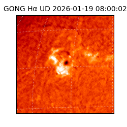 gong - 2026-01-19T08:00:02