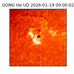 gong - 2026-01-19T09:00:02