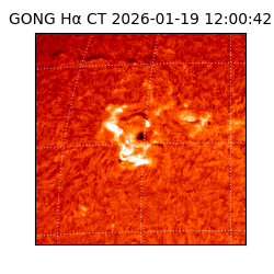gong - 2026-01-19T12:00:42