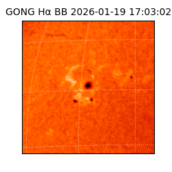 gong - 2026-01-19T17:03:02
