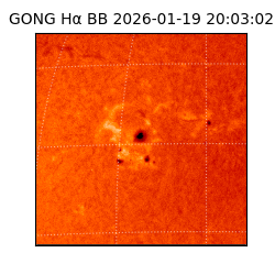 gong - 2026-01-19T20:03:02