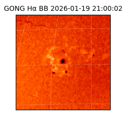 gong - 2026-01-19T21:00:02