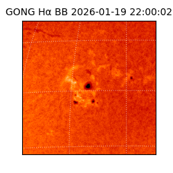 gong - 2026-01-19T22:00:02