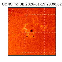 gong - 2026-01-19T23:00:02