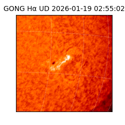 gong - 2026-01-19T02:55:02