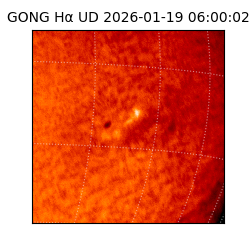 gong - 2026-01-19T06:00:02