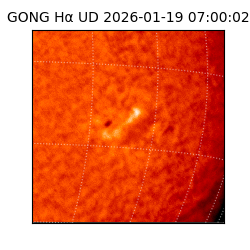 gong - 2026-01-19T07:00:02