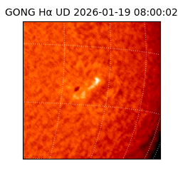 gong - 2026-01-19T08:00:02