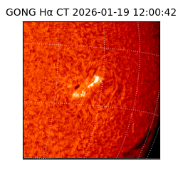 gong - 2026-01-19T12:00:42