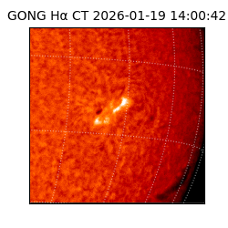 gong - 2026-01-19T14:00:42