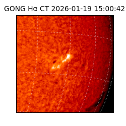 gong - 2026-01-19T15:00:42