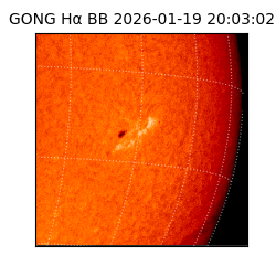 gong - 2026-01-19T20:03:02