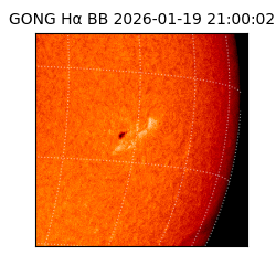 gong - 2026-01-19T21:00:02