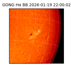 gong - 2026-01-19T22:00:02