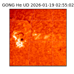 gong - 2026-01-19T02:55:02