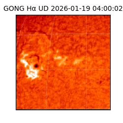 gong - 2026-01-19T04:00:02