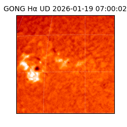 gong - 2026-01-19T07:00:02