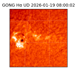 gong - 2026-01-19T08:00:02
