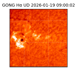 gong - 2026-01-19T09:00:02