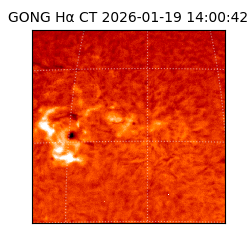 gong - 2026-01-19T14:00:42