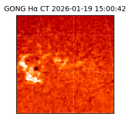gong - 2026-01-19T15:00:42