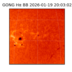 gong - 2026-01-19T20:03:02