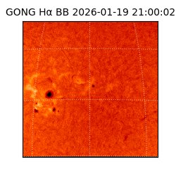 gong - 2026-01-19T21:00:02