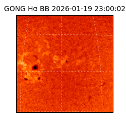 gong - 2026-01-19T23:00:02