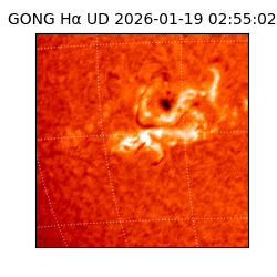 gong - 2026-01-19T02:55:02