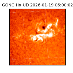 gong - 2026-01-19T06:00:02