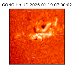 gong - 2026-01-19T07:00:02