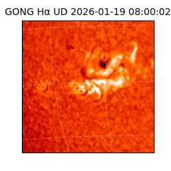 gong - 2026-01-19T08:00:02