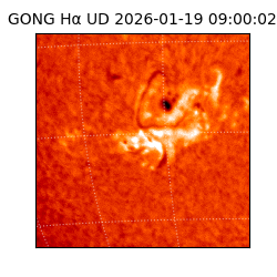 gong - 2026-01-19T09:00:02