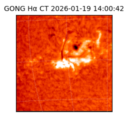 gong - 2026-01-19T14:00:42
