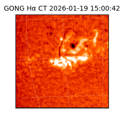 gong - 2026-01-19T15:00:42