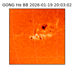 gong - 2026-01-19T20:03:02