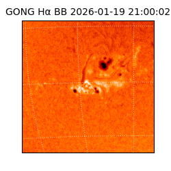 gong - 2026-01-19T21:00:02