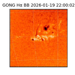 gong - 2026-01-19T22:00:02