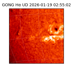 gong - 2026-01-19T02:55:02