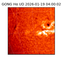 gong - 2026-01-19T04:00:02