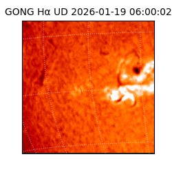 gong - 2026-01-19T06:00:02