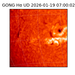 gong - 2026-01-19T07:00:02