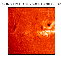 gong - 2026-01-19T08:00:02