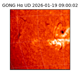 gong - 2026-01-19T09:00:02