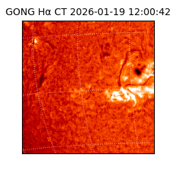 gong - 2026-01-19T12:00:42
