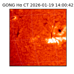 gong - 2026-01-19T14:00:42