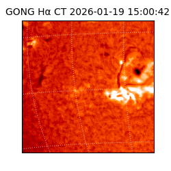 gong - 2026-01-19T15:00:42