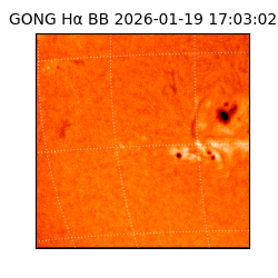 gong - 2026-01-19T17:03:02
