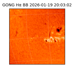 gong - 2026-01-19T20:03:02